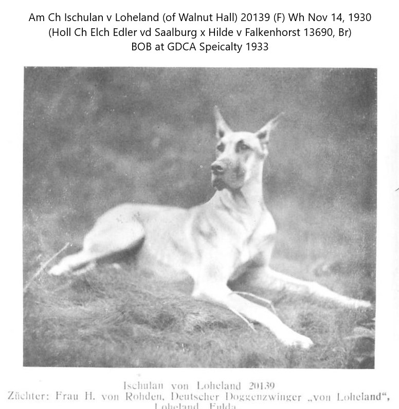 Ischulan von Loheland